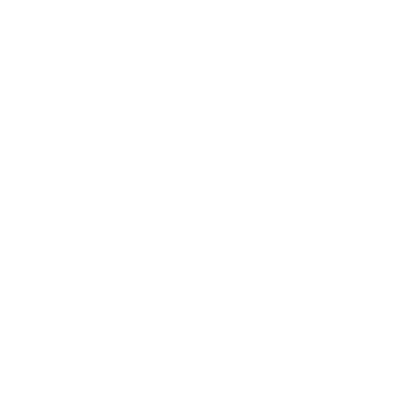 9th Veil